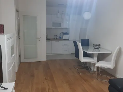 Izdavanje, jednosoban stan, 49m², Central Point, Podgorica - image 5