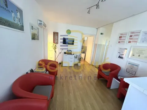 Izdavanje, dvosoban stan, 57m², Botanička Bašta, Palilula Sve Podlokacije - image 2