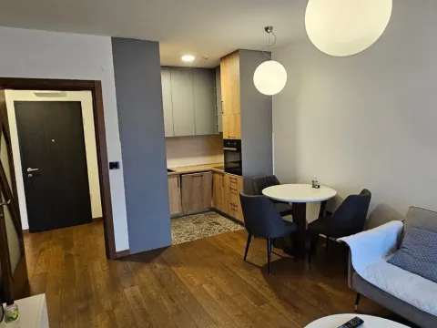 Izdavanje, jednosoban stan, 48m², Ljubović, Podgorica - image 3
