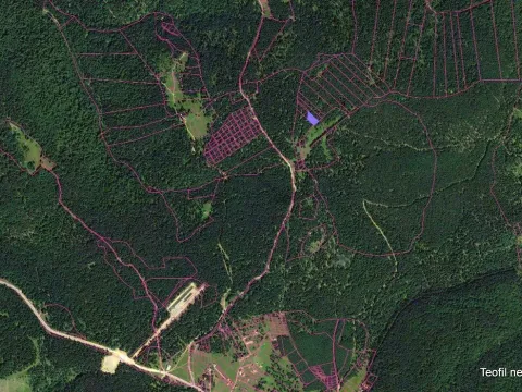 Prodaja, plac, 1900m², Golija, Ivanjica - image 2