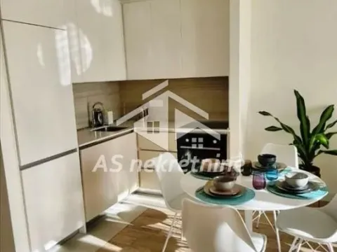 Izdavanje, dvosoban stan, 53m², Savski Venac, Beograd - image 5