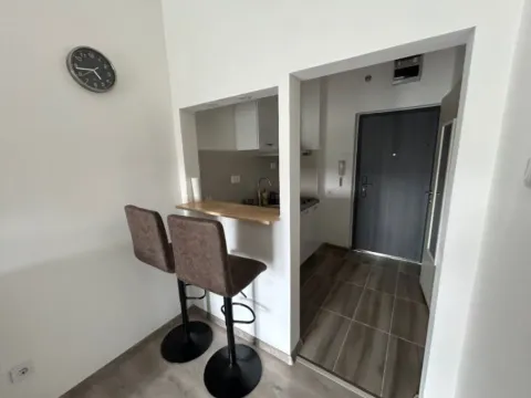 Izdavanje, garsonjera, 30m², Pobrežje, Podgorica - image 8