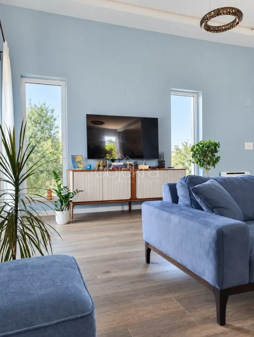 Living room with blue walls, comfortable sofa and television.