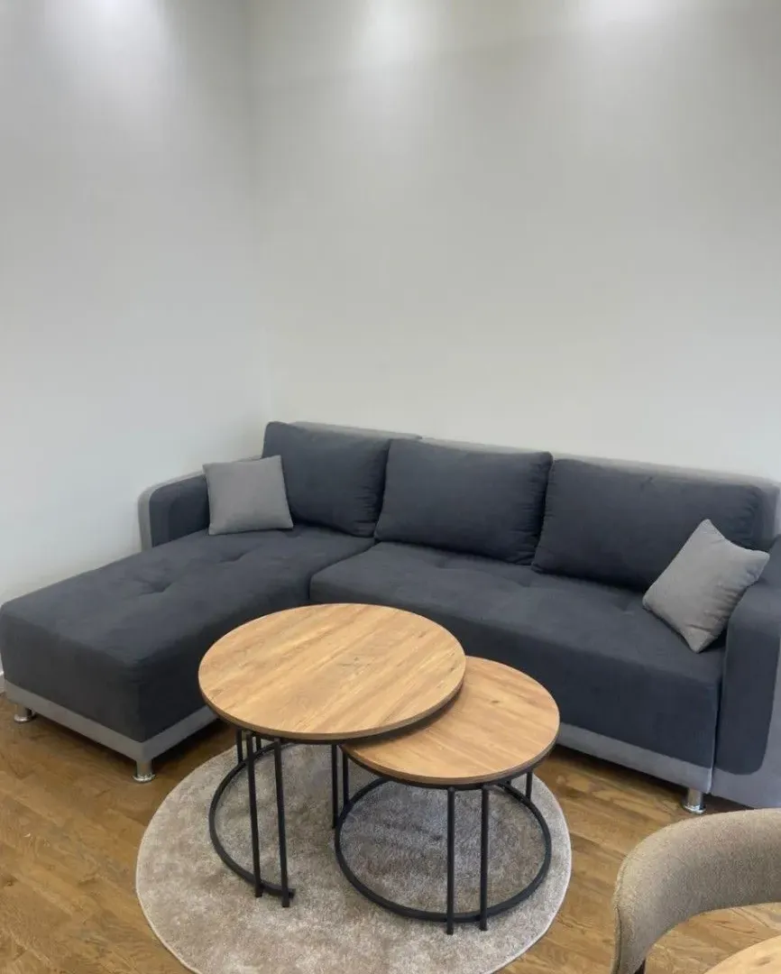 Rent, one bedroom apartment, 600m², Zagorič, Podgorica