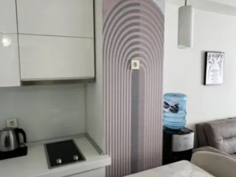 Izdavanje, jednosoban stan, 54m², Tree cane, Budva - image 2