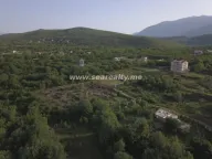 Prodaja, plac, 5600m², Krimovica, Kotor - image 2