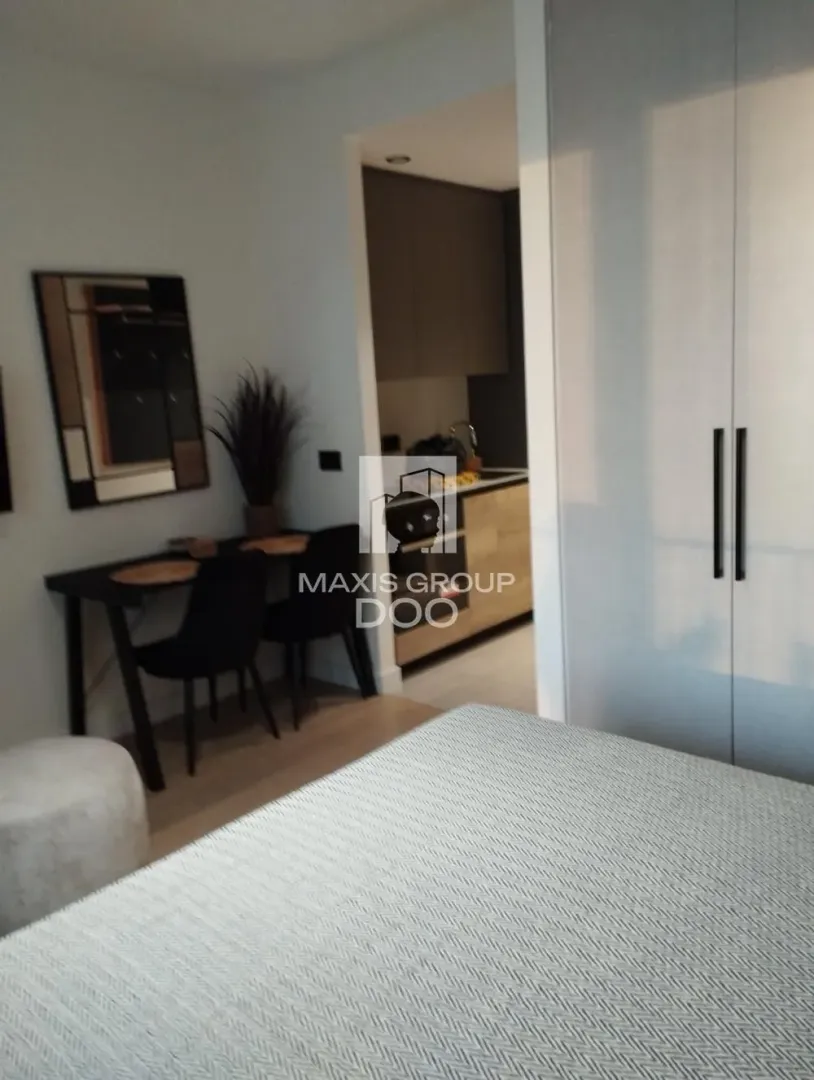 Izdavanje, jednosoban stan, 28m², Savski Venac, Beograd
