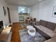 Izdavanje, jednosoban stan, 50m², Stari Aerodrom, Podgorica - image 1