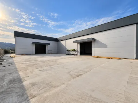 Exterior view of a commercial building with a large concrete courtyard and entrances. - image 9