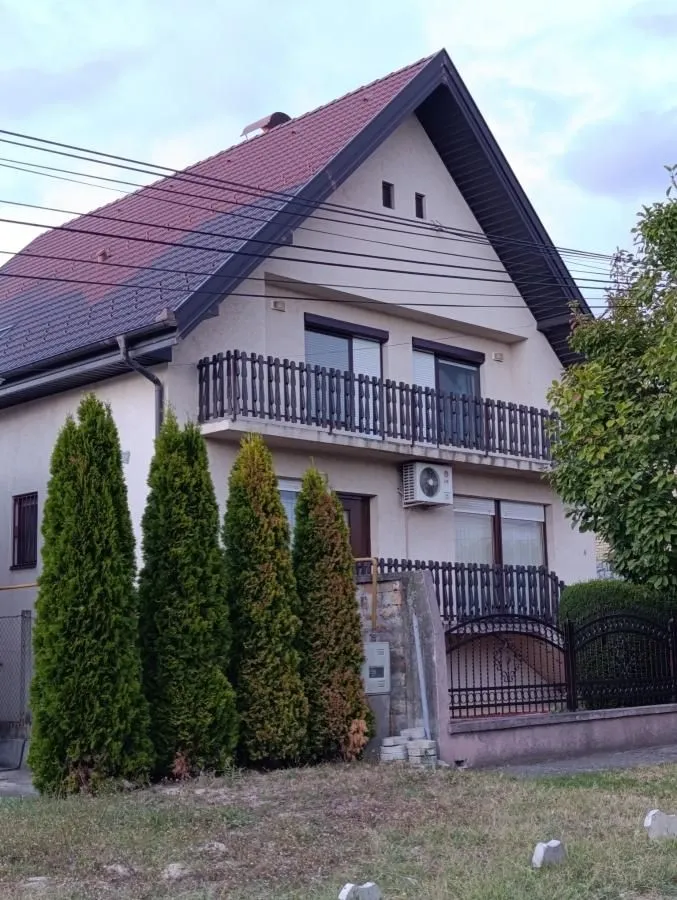Pogled na spoljašnjost dvospratne kuće sa dvorištem i tujama.