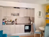 Izdavanje, jednosoban stan, 48m², Stari Aerodrom, Podgorica - image 3