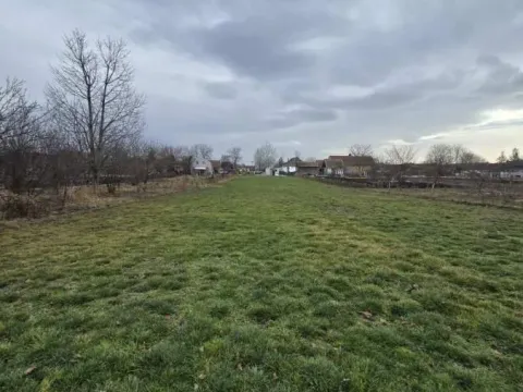 Prodaja, plac, Bački Petrovac, Novi Sad - image 14