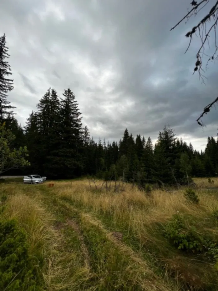 Prodaja, plac, 9000m², Nadgora, Žabljak