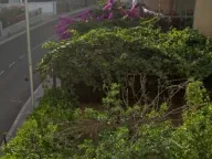 Izdavanje, dvosoban stan, 60m², Budva, Crna Gora - image 1