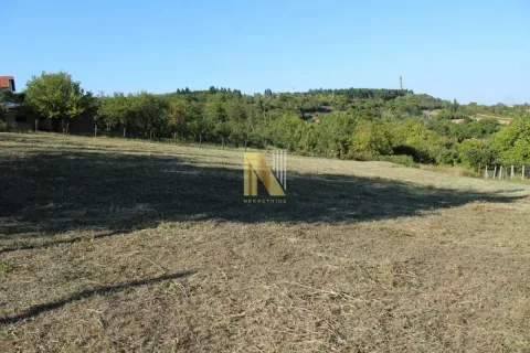 Pogled na zeleni plac sa travnjakom i rastinjem. - image 4