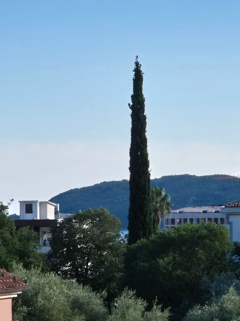 Pogled na okolinu, zelenilo i brdo iz nekretnine.
