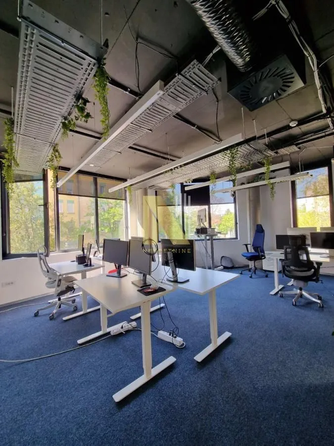 Rent, office space, 527m², Podbara, Novi Sad Sve Podlokacije