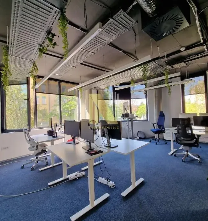 Izdavanje, poslovni prostor, 527m², Podbara, Novi Sad Sve Podlokacije