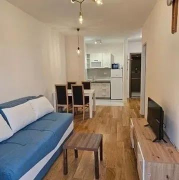 Izdavanje, jednosoban stan, 41m², Central Point, Podgorica - image 3