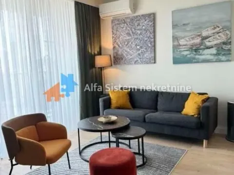 Izdavanje, dvosoban stan, 52m², Savski Venac, Beograd - image 6