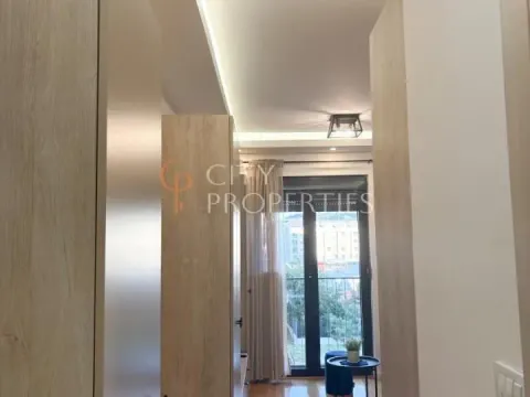 Rent, apartment, 20m², Zabjelo, Podgorica - image 7