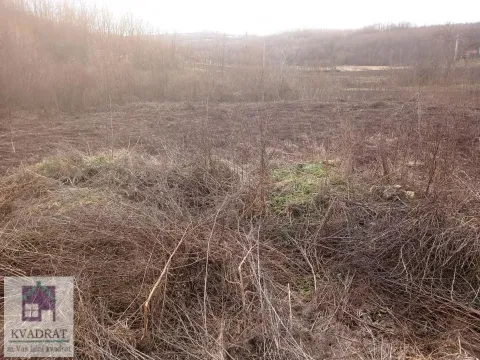 Prodaja, plac, 2300m², Obrenovac, Beograd - image 1