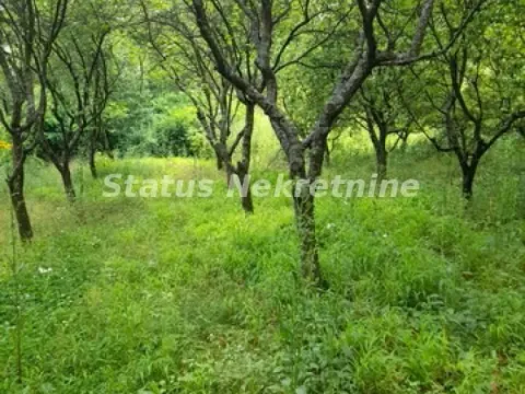 Prodaja, plac, 2100m², Inđija, Srbija - image 29