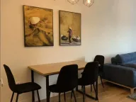 Izdavanje, jednosoban stan, 50m², Central Point, Podgorica - image 7