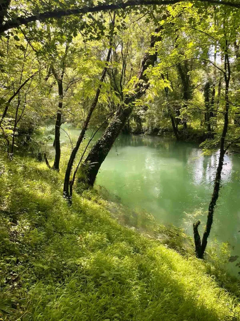 Prirodno okruženje sa šumom i rijekom.