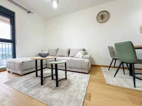 Izdavanje, jednosoban stan, 45m², City Kvart, Podgorica - image 2