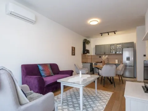 Rent, one bedroom apartment, 47m², Donja Gorica, Podgorica - image 1