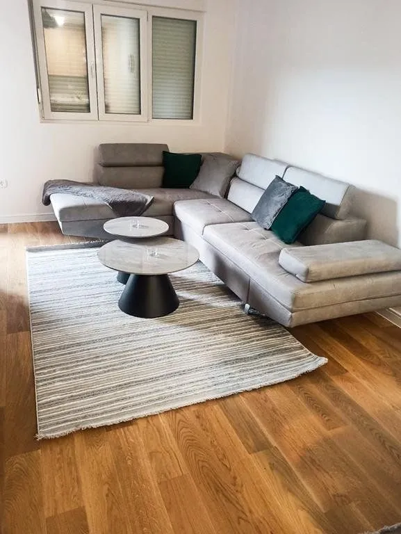 Rent, one bedroom apartment, 50m², Central Point, Podgorica