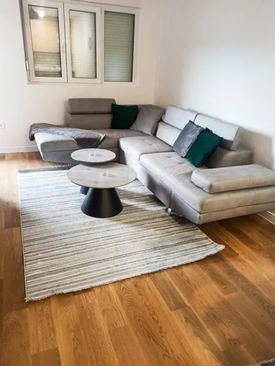 Rent, one bedroom apartment, 50m², Central Point, Podgorica