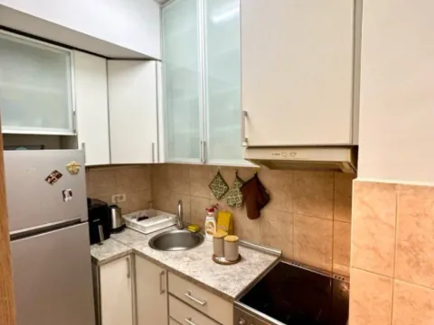 Rent, one bedroom apartment, 42m², Ljubović, Podgorica - image 2