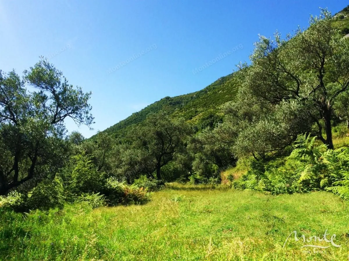 Prodaja, plac, 7500m², Prčanj, Kotor