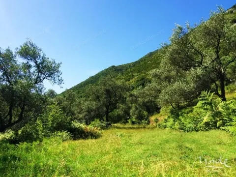 Prodaja, plac, 7500m², Prčanj, Kotor - image 7