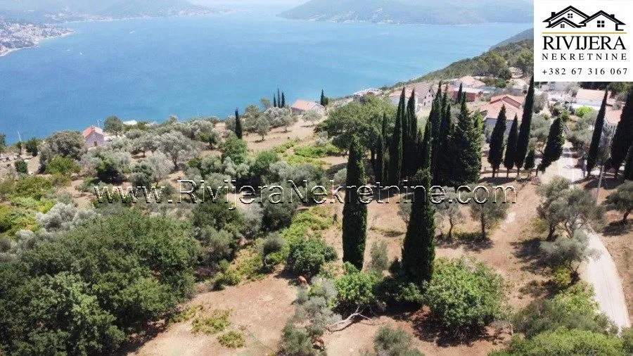 Prodaja, plac, 2391m², Žvinje, Herceg Novi