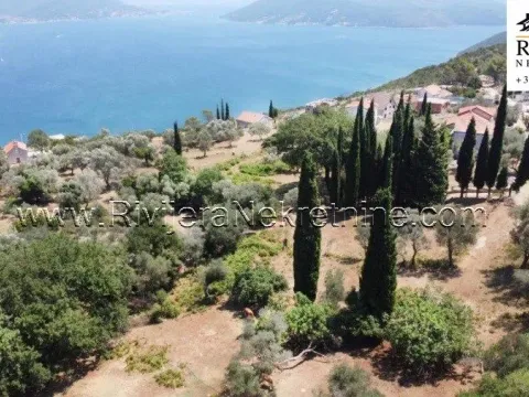 Prodaja, plac, 2391m², Žvinje, Herceg Novi - image 3