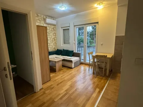 Rent, one bedroom apartment, 30m², Zabjelo, Podgorica - image 3
