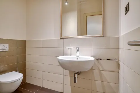 Modernly equipped bathroom with a washbasin, mirror, and toilet. - image 14