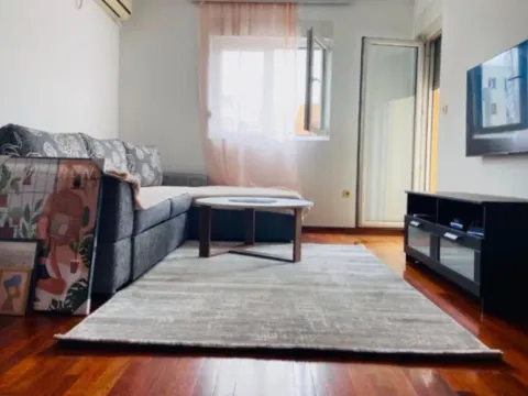 Izdavanje, jednosoban stan, 47m², Stari Aerodrom, Podgorica - image 2