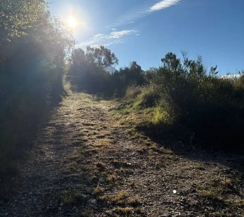 Sale, land lot, 3000m², Radanovići, Kotor