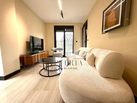 Rent, one bedroom apartment, 45m², Vezirov Most, Podgorica - image 2
