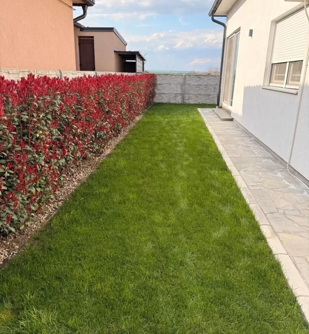 Sale, house, 143m², Centar, Inđija