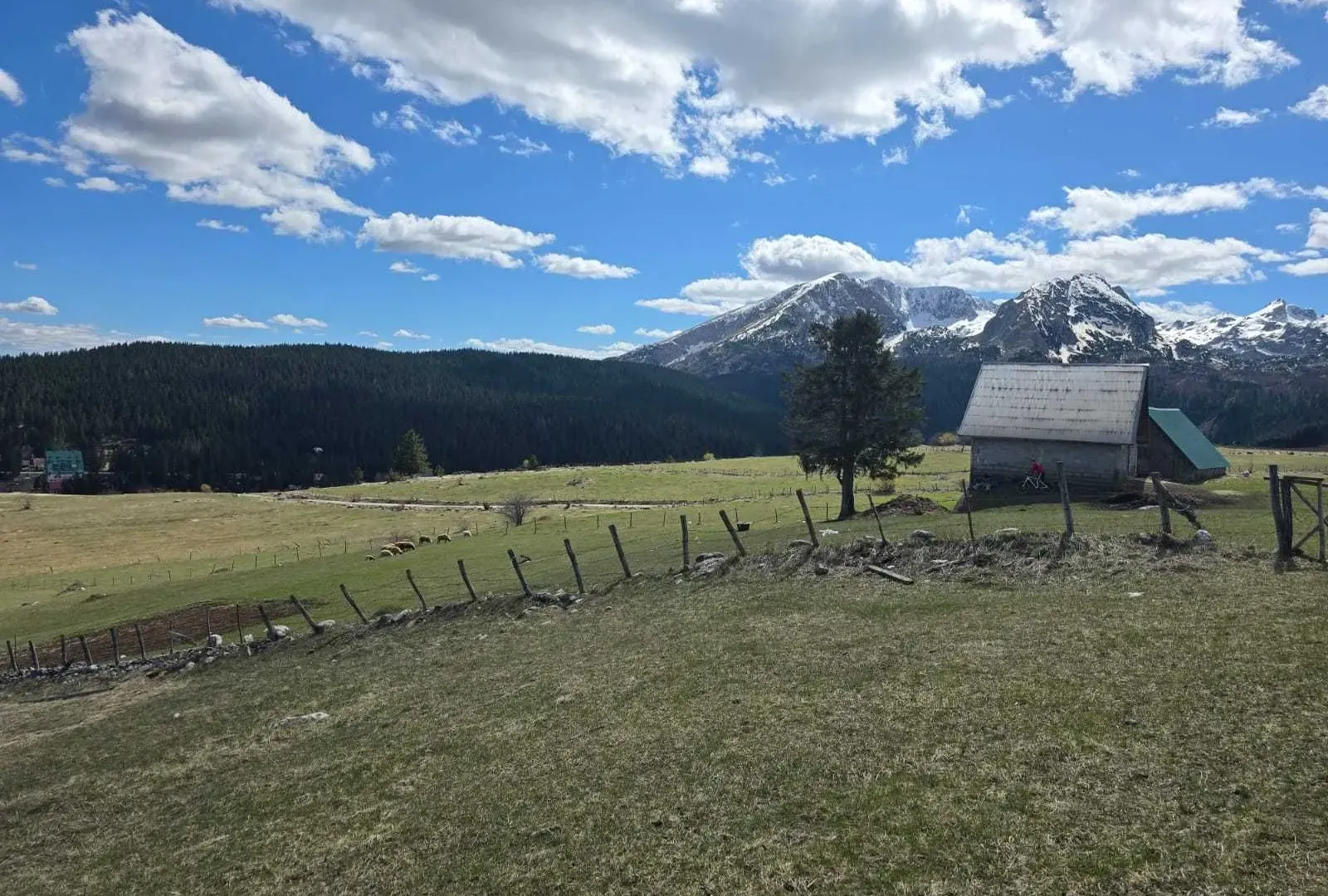 Prodaja, plac, 667m², Žabljak, Crna Gora