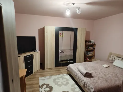 Sale, house, 168m², Centar, Vršac - image 12