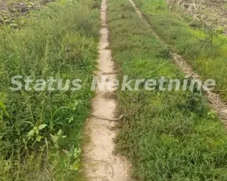 Prodaja, plac, 2300m², Novi Sad, Srbija - image 3