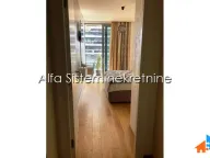 Izdavanje, dvosoban stan, 63m², Savski Venac, Beograd - image 11