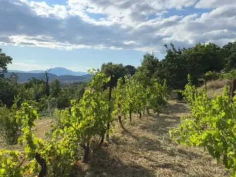 Sale, land lot, 1272m², Doljani, Podgorica - image 4