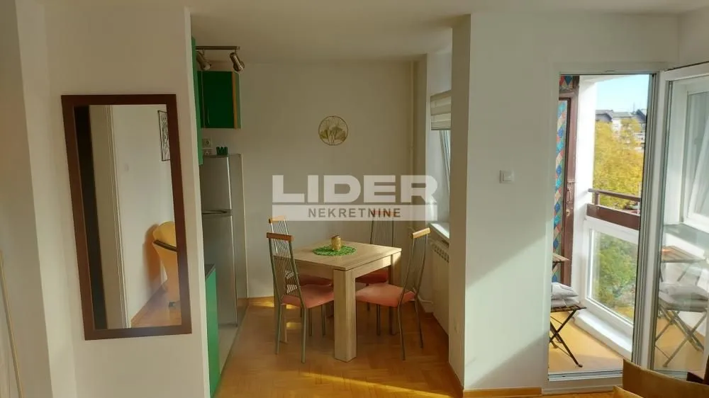 Izdavanje, dvosoban stan, 56m², Novi Beograd Blok 63, Novi Beograd Sve Podlokacije